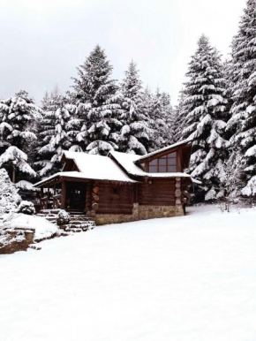 Forest House exclusive